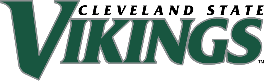 Cleveland State Vikings 2007-Pres Wordmark Logo v2 diy DTF decal sticker